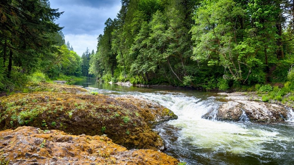 How to Build a House in Washington