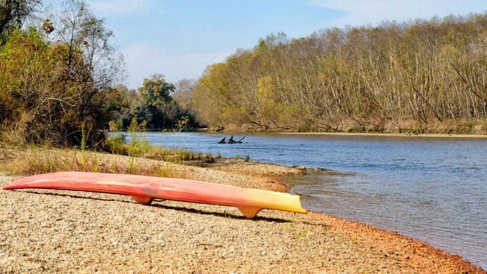 {addle board à beira de um rio perto de Bogalusa, Louisiana