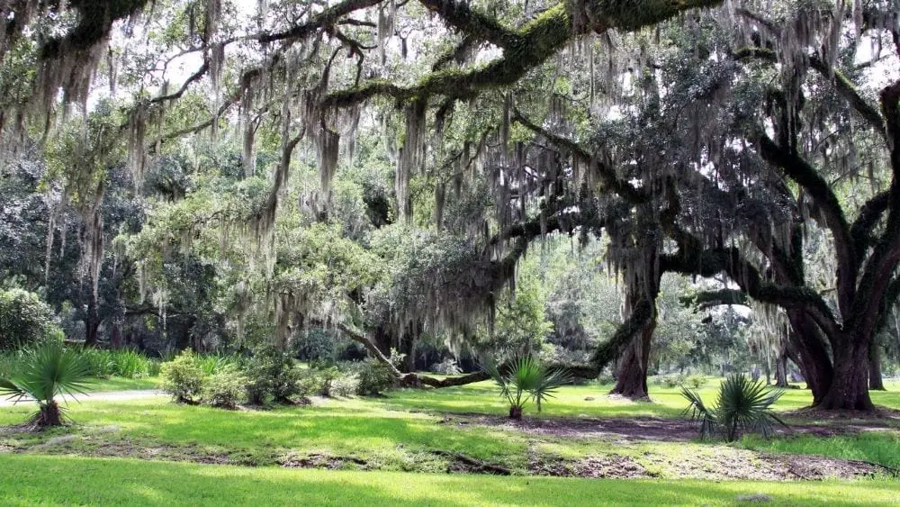 20 Most Affordable States