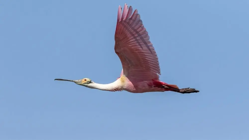 The Top 10 Most Affordable Cities in Texas