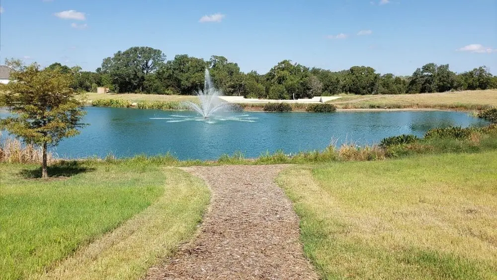 Get to Know Bryson in Leander, Texas