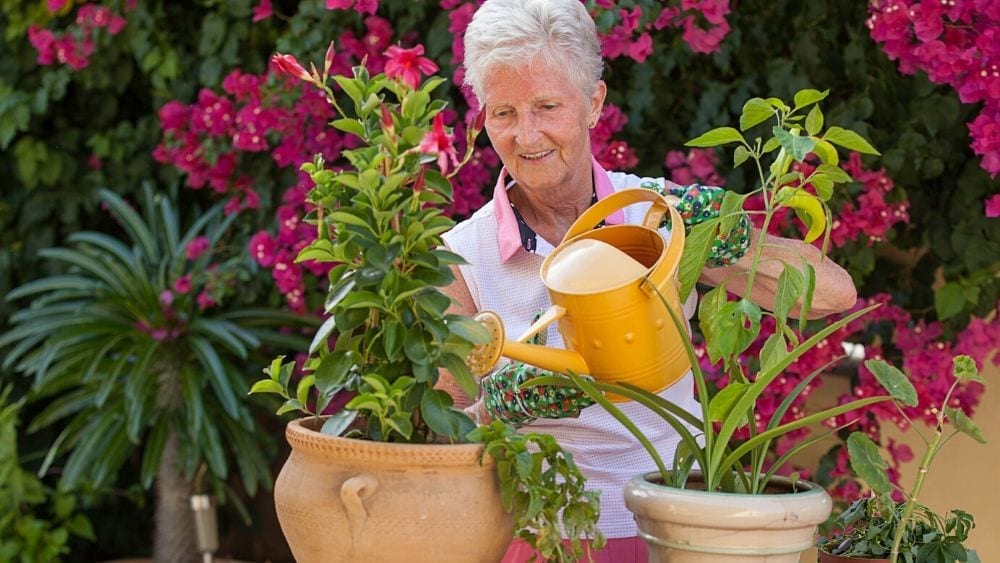 retiree watering plants
