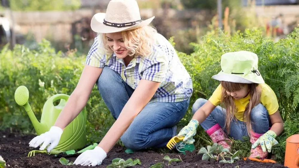 How to Grow Your Own Food: 8 Tips to Get Started on Backyard Gardening ...