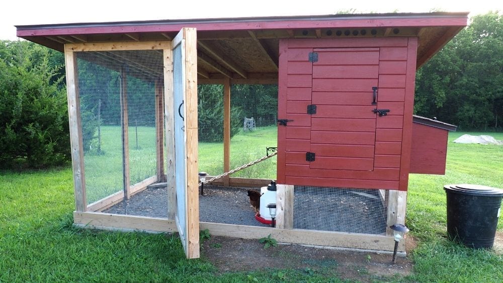 How to Start Your Own Chicken Coop