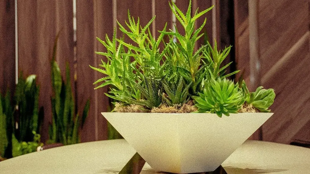Fake plant in white vase on table.