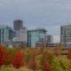 Skyline of Little Rock in the fall, with red and yellow trees in the foreground.