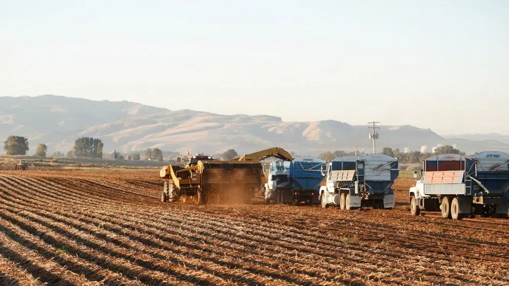 The Top 10 Most Affordable Cities in Idaho