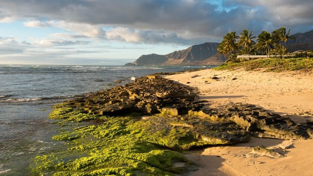 landscape of beach at waianae, hawaii