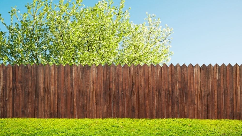 The Pros and Cons of Fencing and Shrubbery