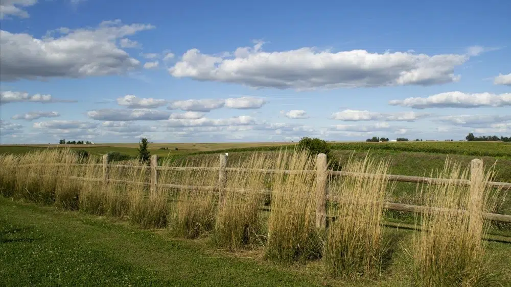 Campos de hierba abiertos en Newton, Iowa