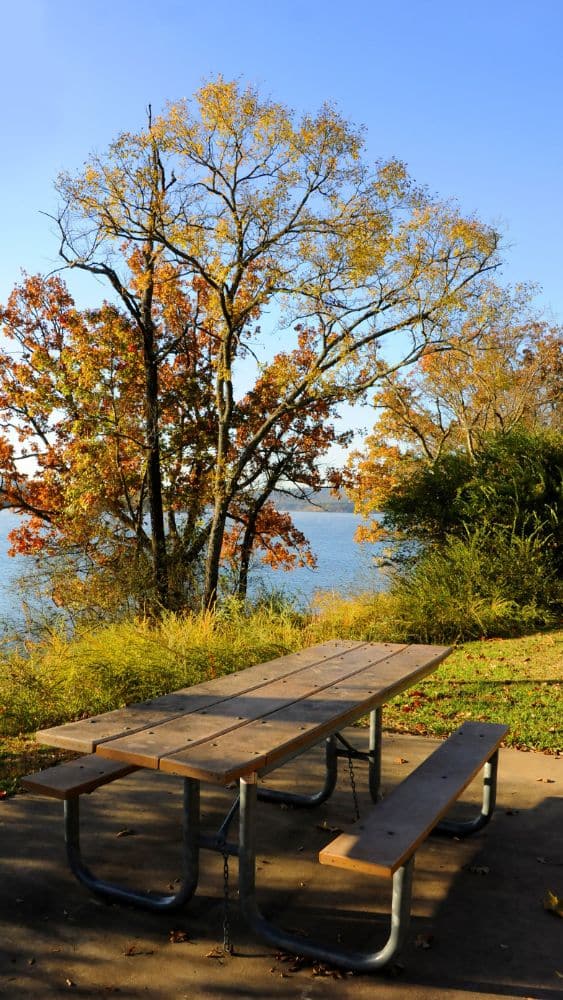 A picnic table in front of a tree with red and gold leaves that borders a large body of water.