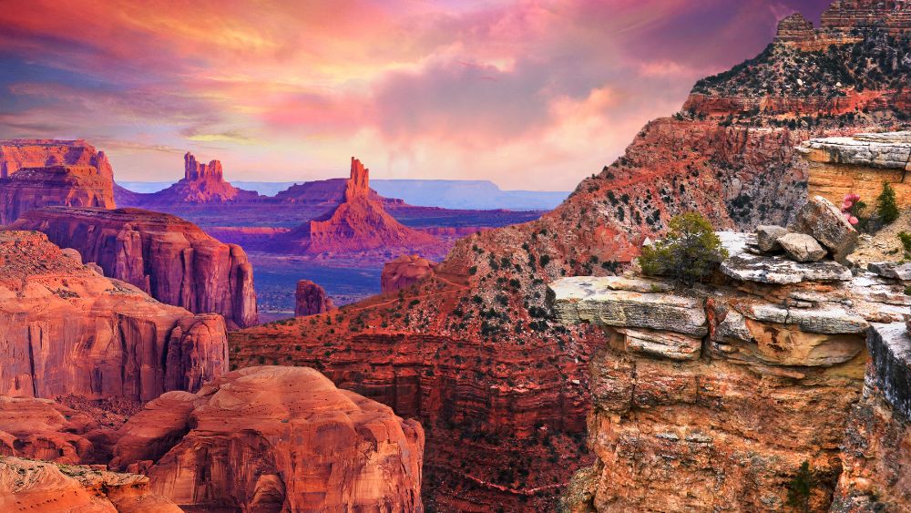 Best Tiny Home Builders in Arizona NewHomeSource