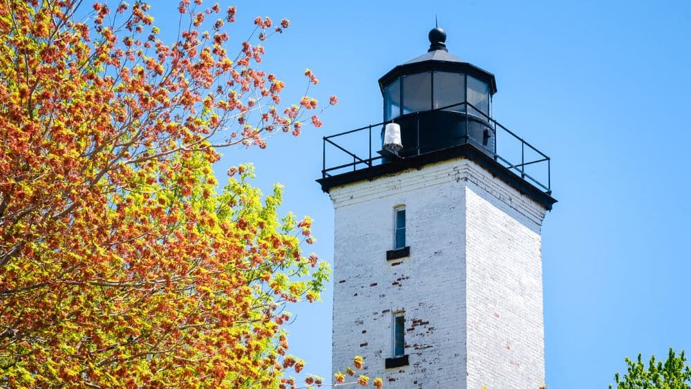 A white and black square lighthouse against a clear blue sky. A green, orange, and yellow tree is to the left.