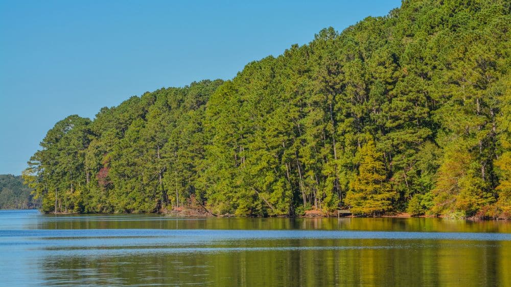 10 Best State Parks in Louisiana