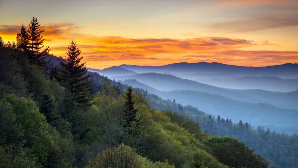 10 Best State Parks in Tennessee NewHomeSource
