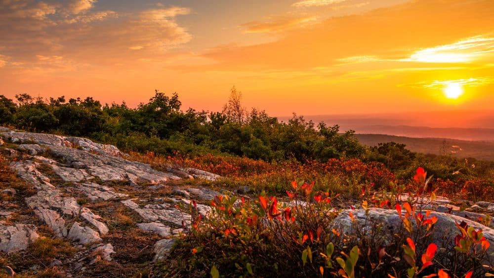 Top 10 State Parks in New Jersey