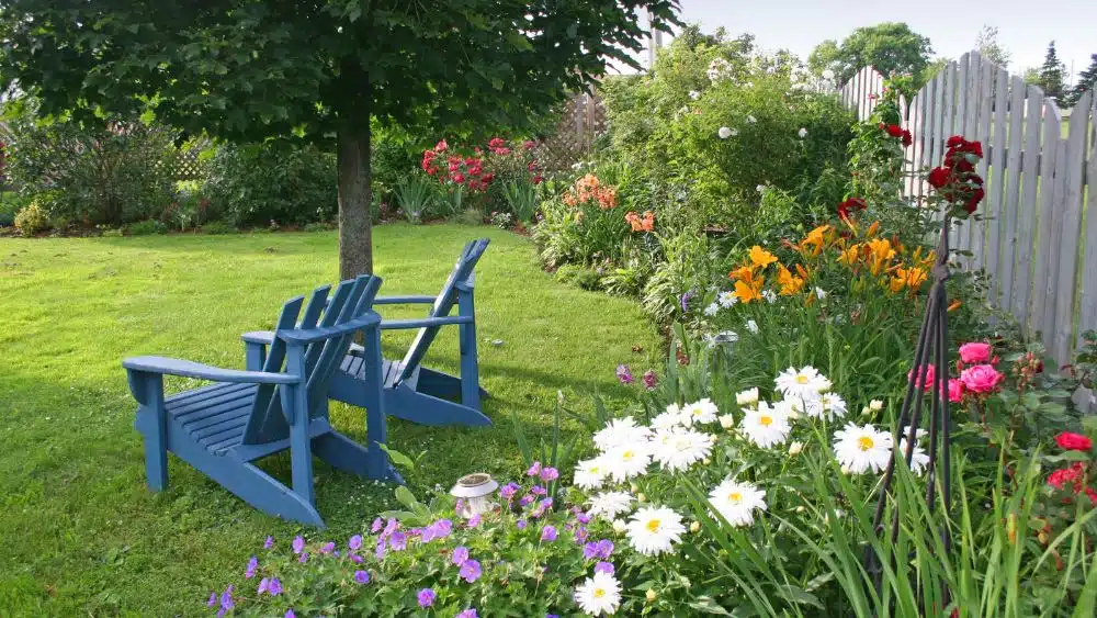 Backyard with blue Adirondack chairs under a tree and flower lining the fence.