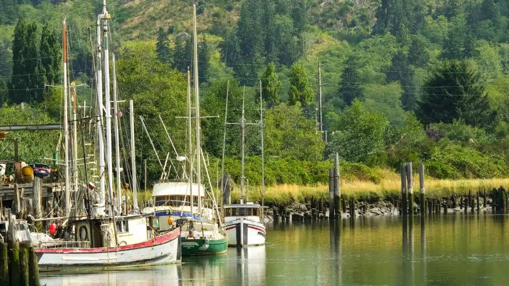 marina in Grays Harbor County, Washington 