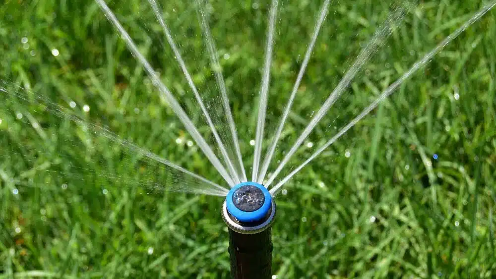 Is A Sprinkler System Worth It? The Pros & Cons Explained.