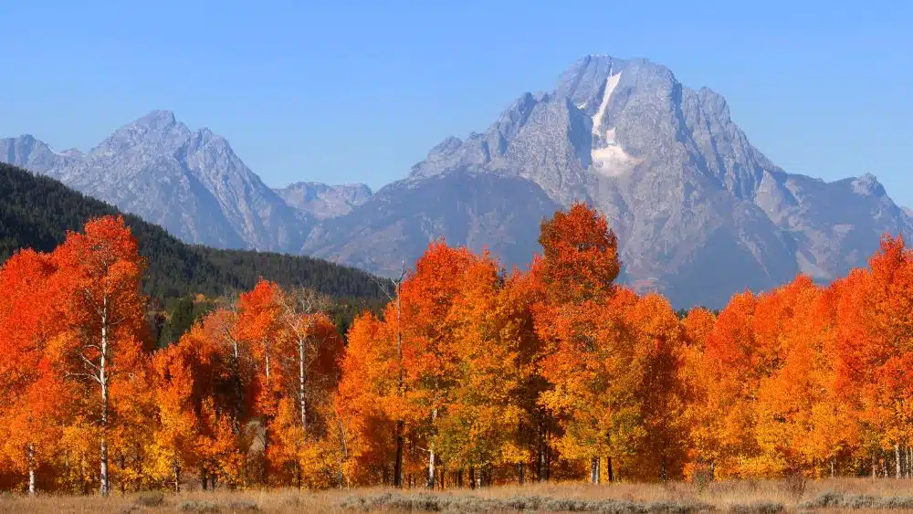 The Best Places to Retire in Wyoming