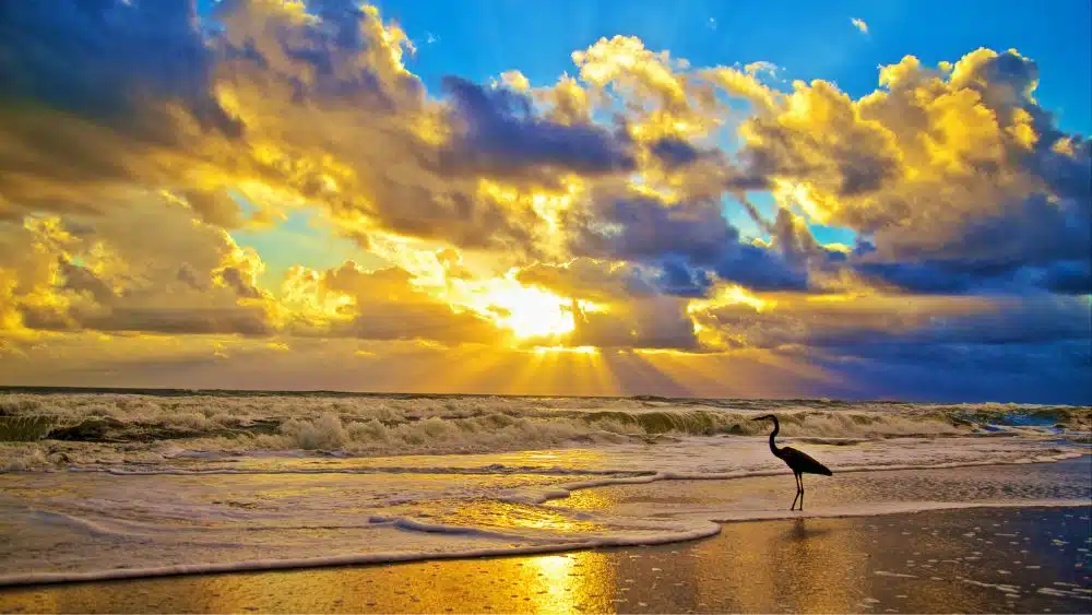 The complete guide to relocating to Melbourne, FL - NewHomeSource.com