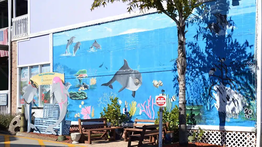 Your Complete Relocation Guide to Punta Gorda, FL